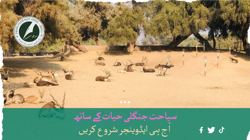 لال سوہانرا نیشنل پارک