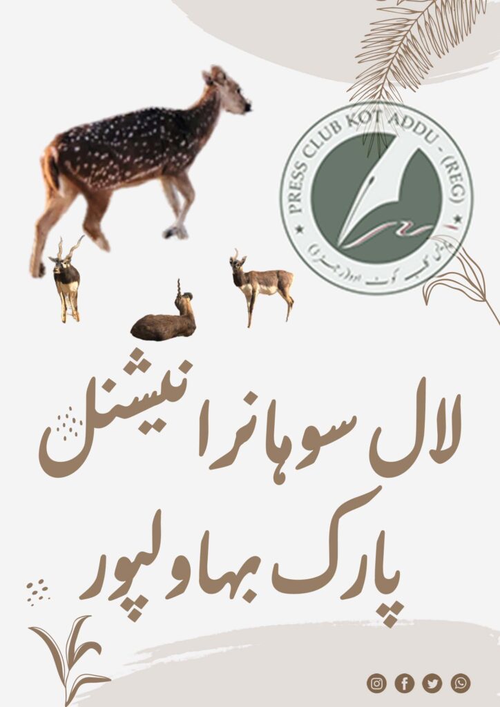 لال سوہانرا نیشنل پارک