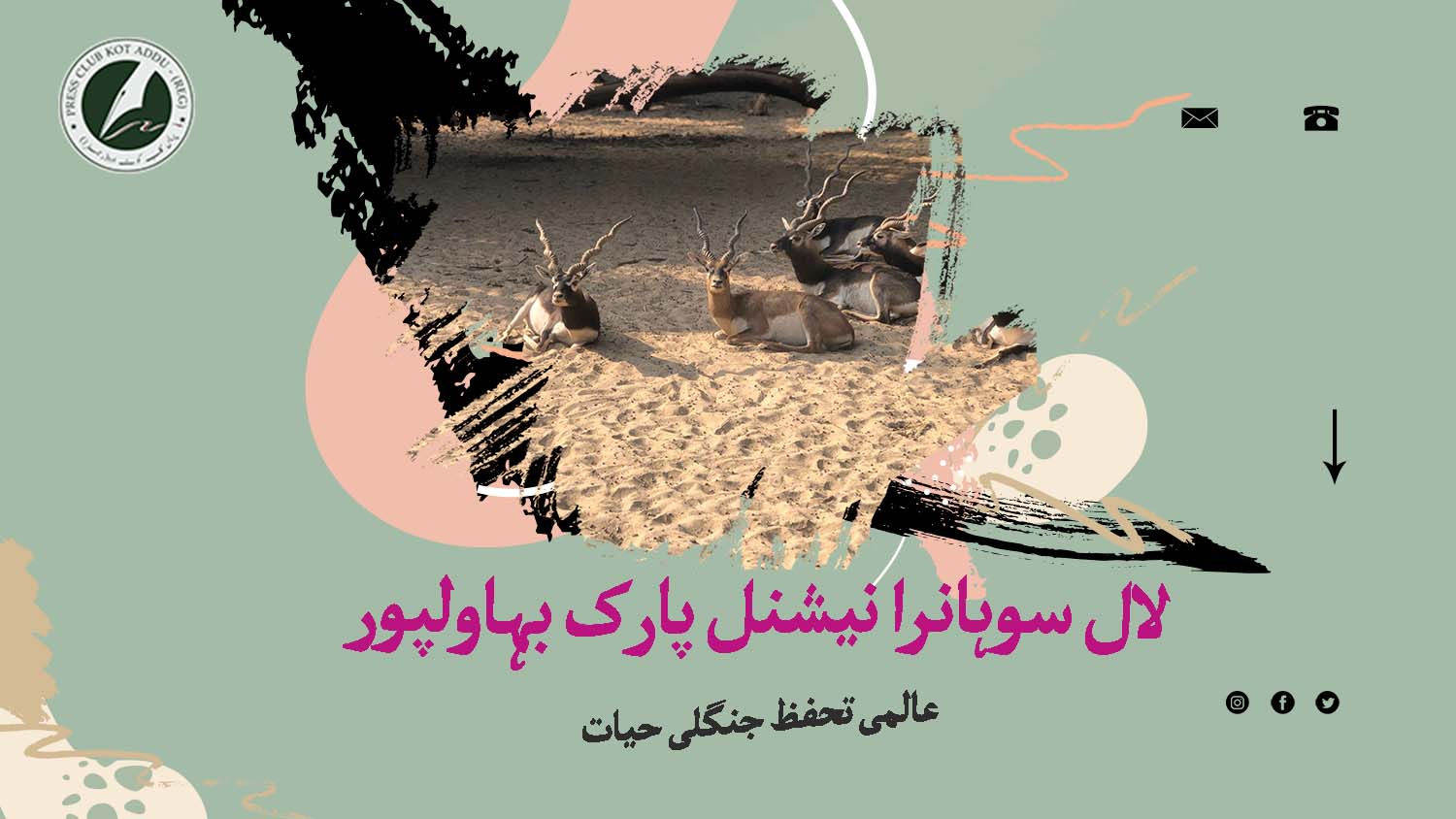 لال سوہانرا نیشنل پارک