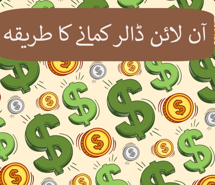 20ڈالر فی گھنٹہ کمانے کا طریقہ